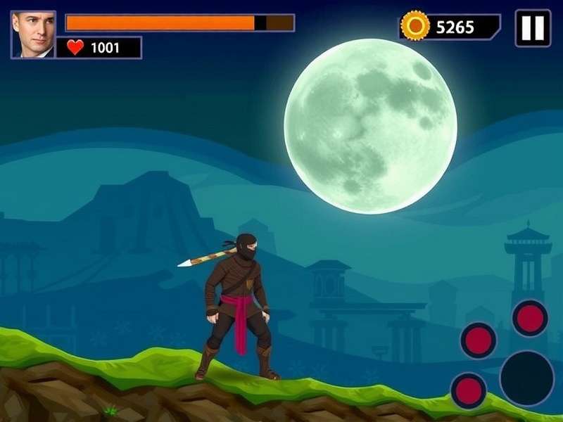 Nellai Ninja Warrior Gold Game Screenshot